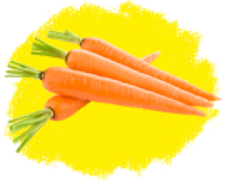 Морковь на ленте, драже, сеялка