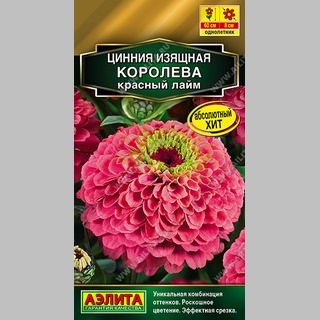 Цинния Королева Красный лайм - Семена Тут