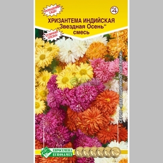 Хризантема Звездная осень смесь (индийская) - Семена Тут