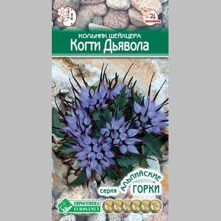 Кольник Когти дьявола (шейхцера) - Семена Тут