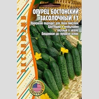 Огурец Бостонский Засолочный F1 (Boston Pickling) (большой пакет) - Семена Тут