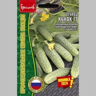 Огурец Кунак F1 (Улучшенный Мамлюк) (большой пакет) - Семена Тут