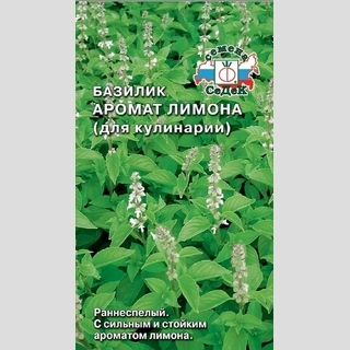 Базилик Аромат Лимона (для кулинарии) - Семена Тут