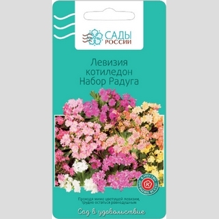 Левизия Котиледон Набор Радуга - Семена Тут
