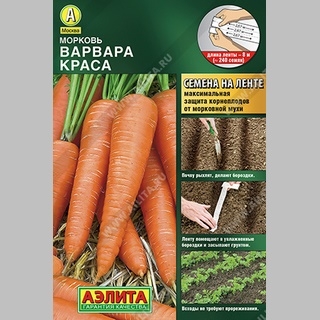 Морковь Варвара Краса (лента) 8м (большой пакет) - Семена Тут
