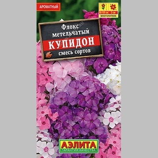 Флокс Купидон смесь (метельчатый) - Семена Тут