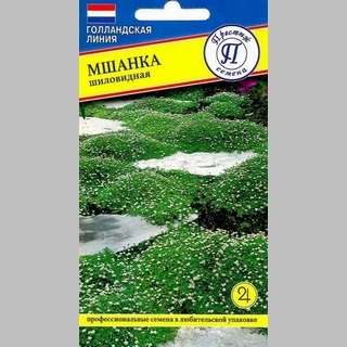 Мшанка шиловидная - Семена Тут