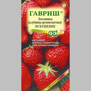 Земляника Искушение (Клубника) ампельная - Семена Тут