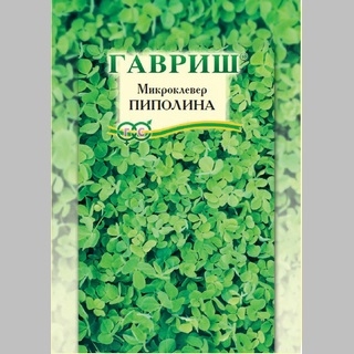 Микроклевер Пиполина 20г (большой пакет) - Семена Тут