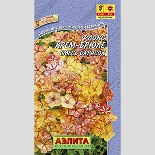 Флокс Крем-брюле смесь - Семена Тут