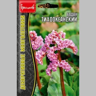 Бадан Тихоокеанский (большой пакет) - Семена Тут