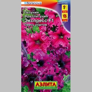 Фриллитуния Экспресс F1 смесь - Семена Тут
