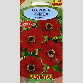 Георгина Румба Красная - Семена Тут