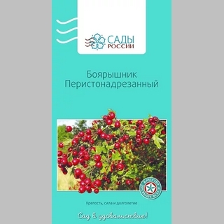 Боярышник перистонадрезанный - Семена Тут