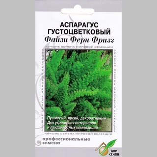 Аспарагус Файзи Ферн Фризз - Семена Тут