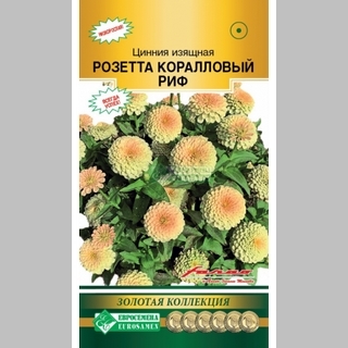 Цинния Розетта Коралловый риф (изящная) - Семена Тут