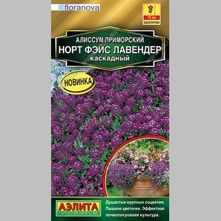Алиссум Норт Фэйс Лавендер (каскадный) - Семена Тут