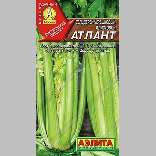 Сельдерей Атлант (черешковый и листовой) - Семена Тут