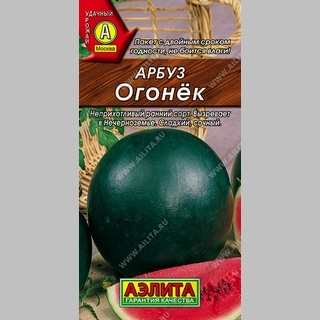 Арбуз Огонек - Семена Тут