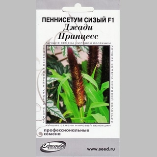 Пеннисетум Джади Принцесс F1 (сизый) - Семена Тут