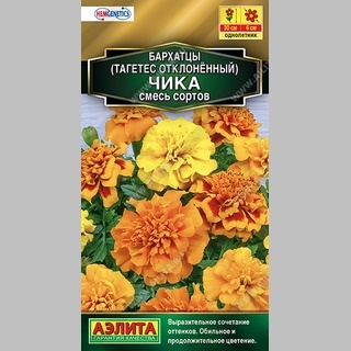 Бархатцы Чика смесь - Семена Тут