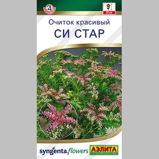 Очиток Си Стар (красивый) - Семена Тут