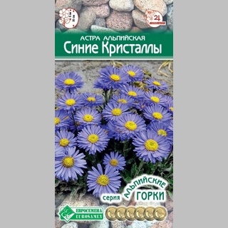 Астра Синие кристаллы (альпийская) - Семена Тут