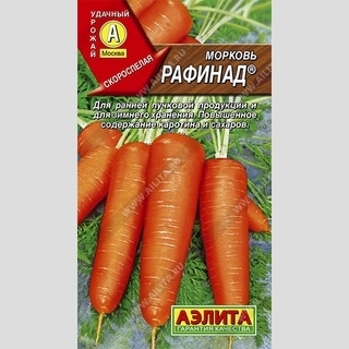 Морковь Рафинад - Семена Тут