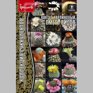 Кактус карликовый Смесь Видов (большой пакет) - Семена Тут