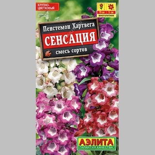 Пенстемон Сенсация смесь - Семена Тут