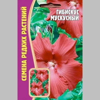 Гибискус Мускусный (темно-красный) (большой пакет) - Семена Тут