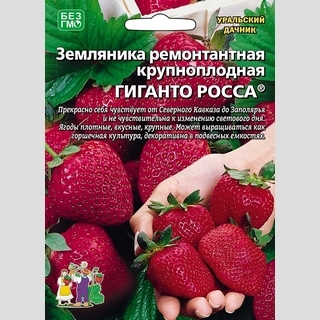 Земляника Гиганто Росса ремонтантная (большой пакет) - Семена Тут