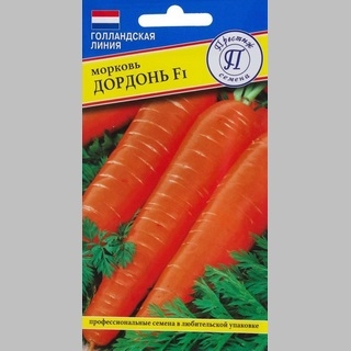 Морковь Дордонь F1 - Семена Тут