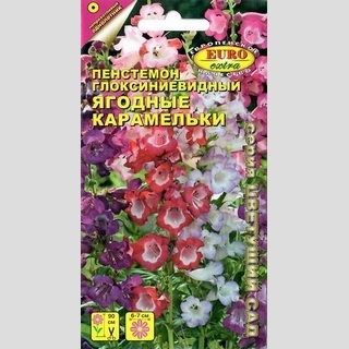 Пенстемон Ягодные карамельки - Семена Тут