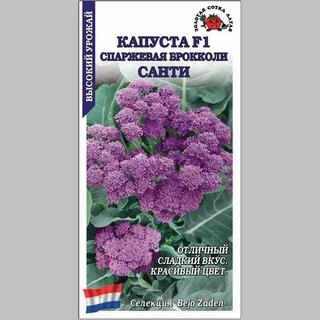 Капуста Санти F1 брокколи Спаржевая - Семена Тут