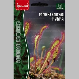 Росянка Рубра капская (Хищник) (большой пакет) - Семена Тут