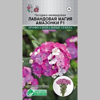 Гвоздика Лавандовая Магия Амазонки F1 (межвидовая) - Семена Тут