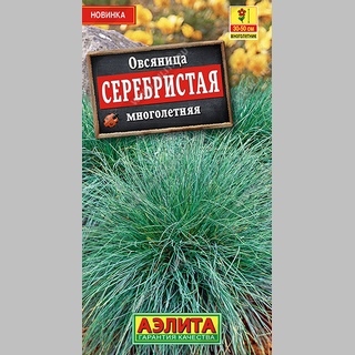 Овсяница Серебристая - Семена Тут