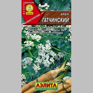 Хрен Гатчинский - Семена Тут