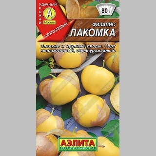 Физалис Лакомка - Семена Тут