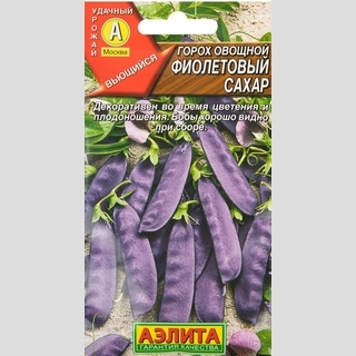 Горох Фиолетовый сахар - Семена Тут