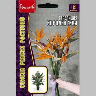 Стрелиция Королевская (большой пакет) - Семена Тут
