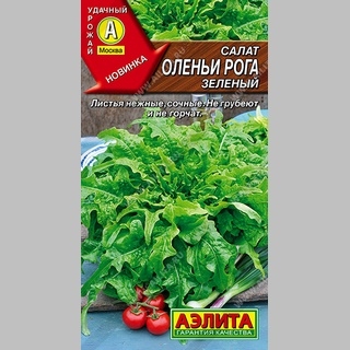 Салат Оленьи рога зеленый - Семена Тут
