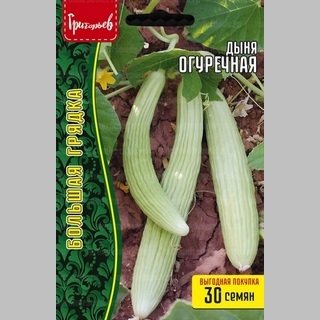 Дыня Огуречная (большой пакет) - Семена Тут