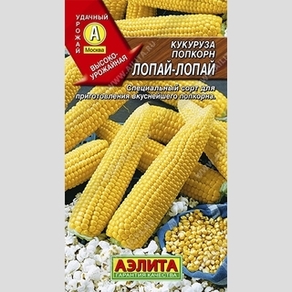 Кукуруза Лопай-Лопай (попкорн) - Семена Тут