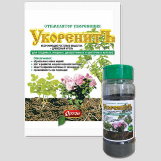 Укоренить 10гр - Семена Тут