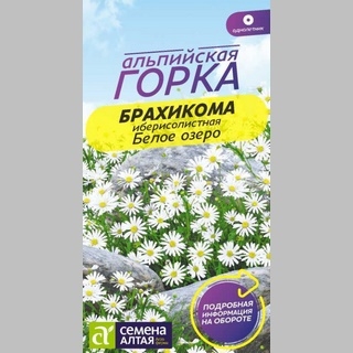 Брахикома Белое озеро - Семена Тут