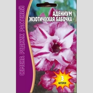 Адениум Экзотическая Бабочка (тучный) (большой пакет) - Семена Тут