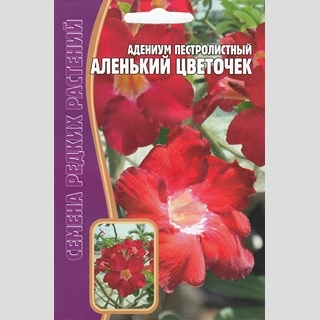 Адениум Аленький Цветочек (тучный) (большой пакет) - Семена Тут