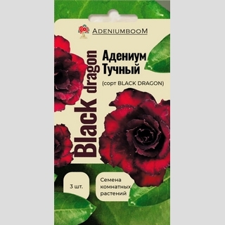 Адениум Black Dragon (тучный) - Семена Тут